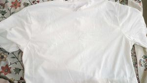 Roadster Boxy Crop Top