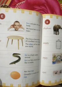 Dictionary For Kids
