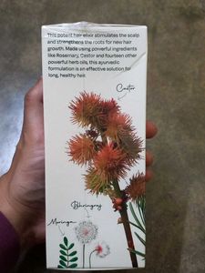 Sacred Grove Hair Growth Oil