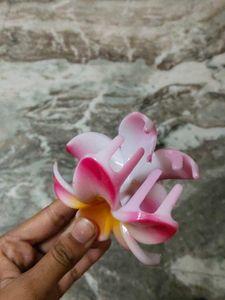 Frangipani Hair Clip