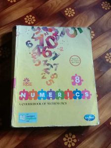 Numerics: A Mathematics Coursebook