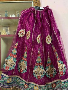 Gorgeous Embroidered Lehenga