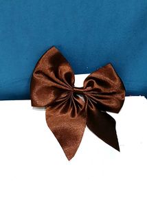 Aesthetic Bow Hair Clips (3pc)