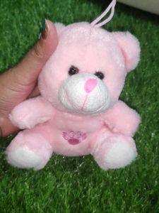 Sweet Mini Teddy