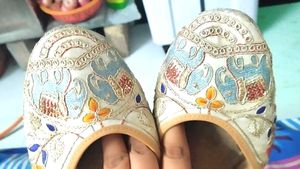 Embroidered Indian Slippers