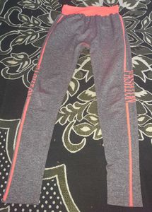 Sports Pants / Tights