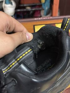 UK-10 Black and Yellow Skechers Trekking Shoes