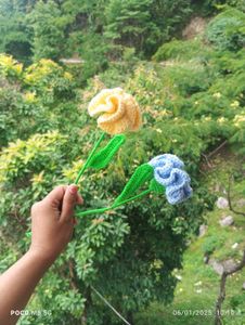 Crochet Carnation Flower (Only 1)