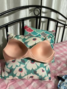Enamor Bra Size L