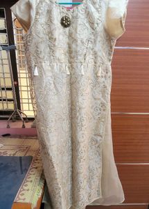 Party Wear Organza Dress