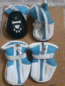 Pets Shoes