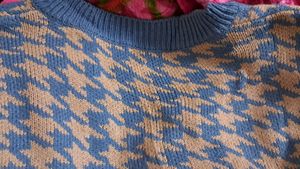 aesthetic sweater vest