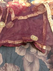 Embroidered Lehenga Choli