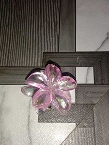 Hair Clips