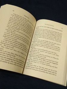 Too Good to Be True Novel