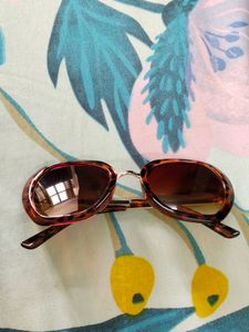 Trendy Round Sunglass