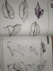 Art Skills Textbook - Class 9