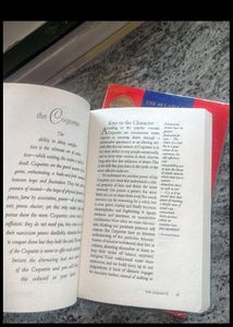 48 Laws Of Power And Tha Art seduction