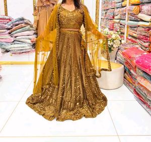 ✨️Sangeet Night Lehga✨️