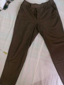 Brown Casual Pants