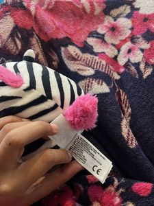 tracey the zebra