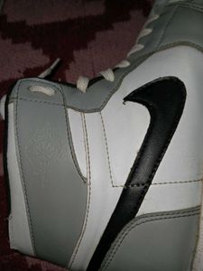 Nike Air Jordan 1 retro high og Light Smoke Grey