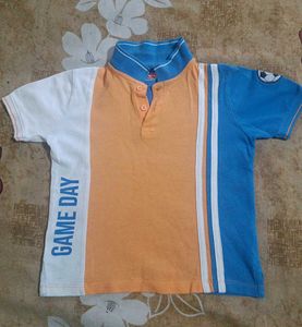 Polo Half Sleeves T-shirt