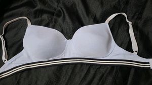 Zivame 34C Padded Bra