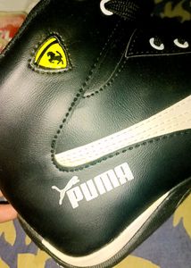 Puma Mid Top Sneaker For Men