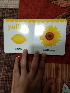 Kids Educational Book