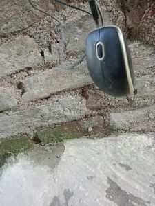 Logitech Company Mouse Working Condition