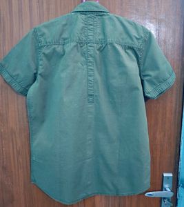 Woodland Olive Shirt