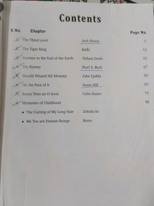 Flamingo And Vistas English Book
