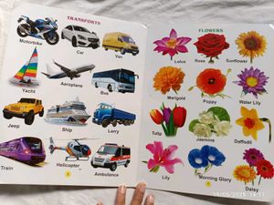 My First Board Book of G.K. – Bright Pictures, Big