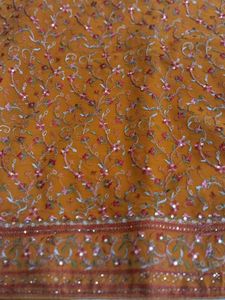 Elegant Orange Saree