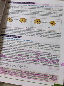 Dinesh Class 10 Biology Cbse