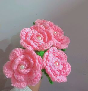 Crochet Pink Roses 🎀