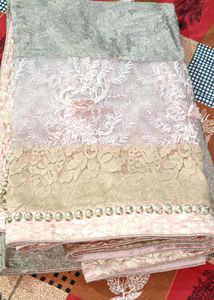 Elegant Embellished Saree