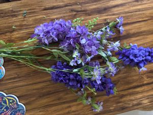 Purple Flowers