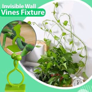Plant Climbing Wall Clips Self-Adhesive Money Plant Support Clips Vine Plant Climbing Fixing Clip