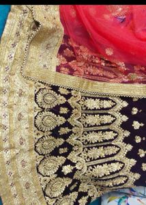 Elegant  Lehenga Choli 😍😍