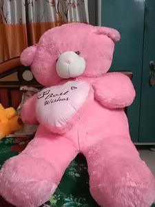 Teddy Bear