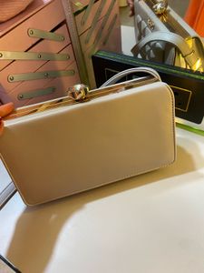 Elegant Clutch Bag
