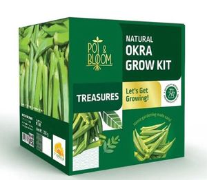 Okara Grow kit