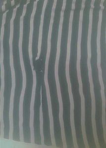 Striped Shirt