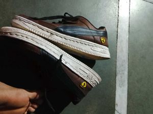 Stylish Casual Shoes