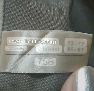 Bra Bust Size 34
