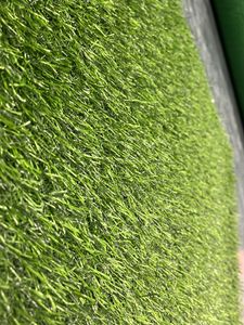 Artificial Grass