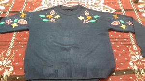 Embroidered Sweater In The Best Condition