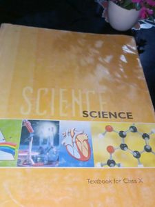 Class 10 Textbooks Bundle